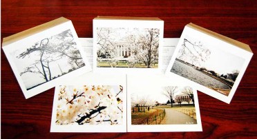 Cherry Blossom Note Cards