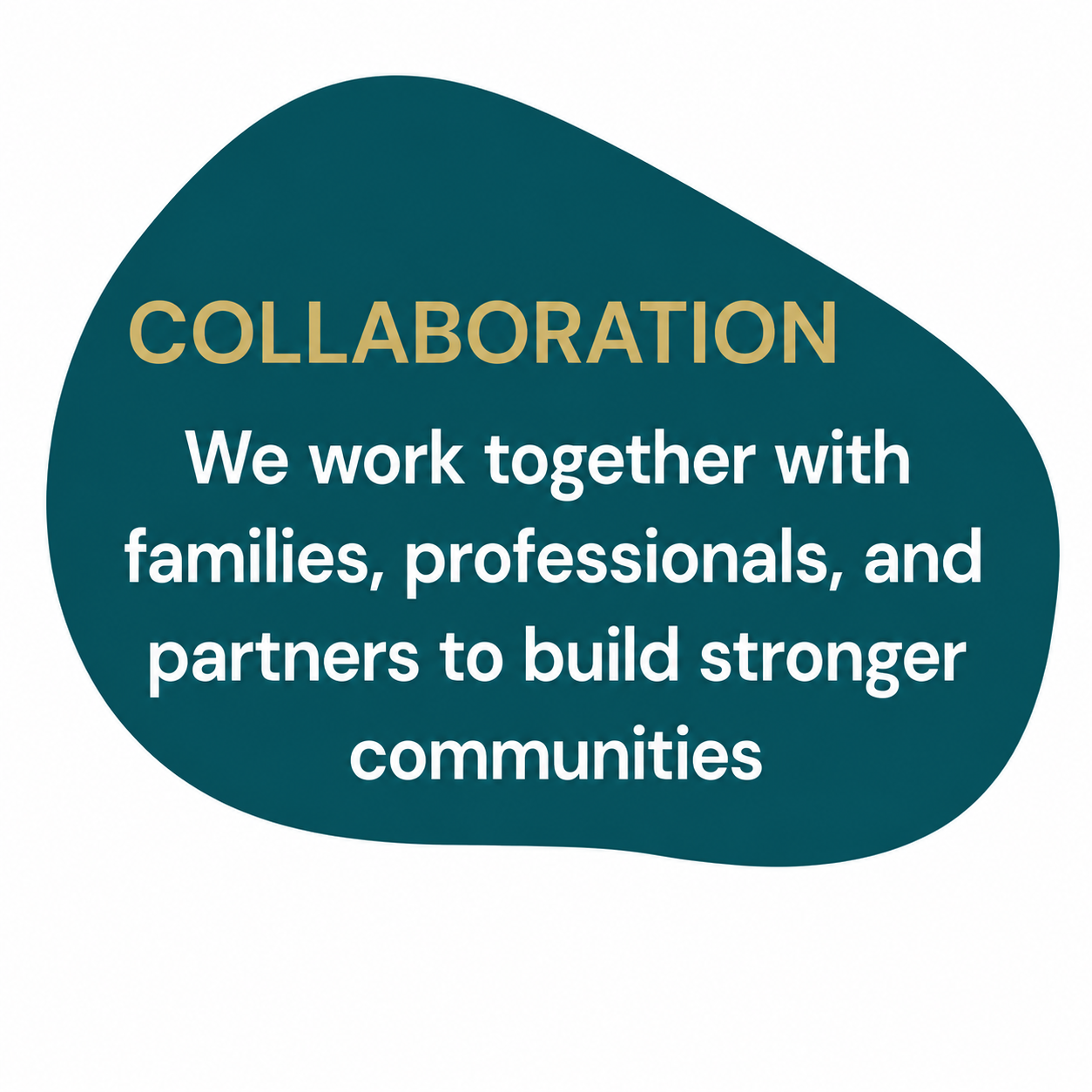Collaboration - We work together with families, professionals, and partners to build stronger communities.