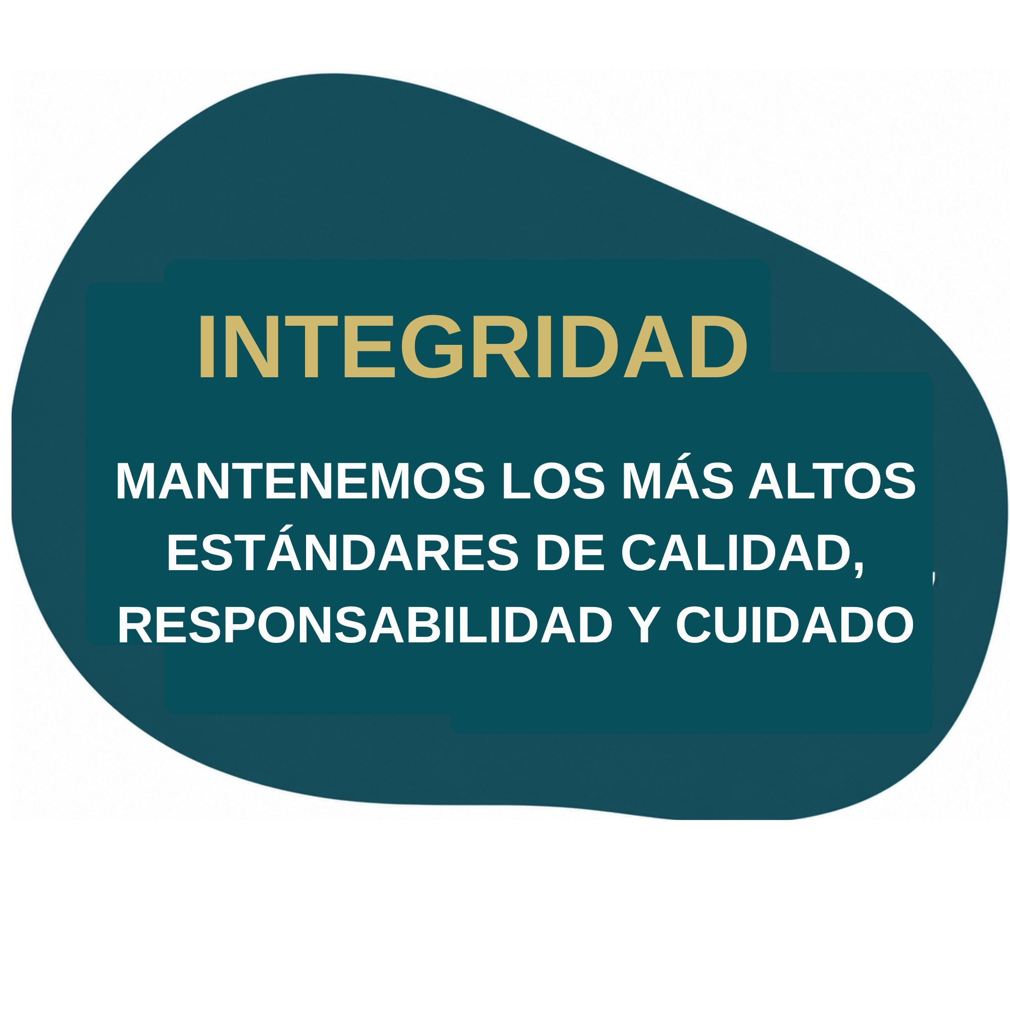 Integrity - We uphold the highest standards of quality, accountability, and care.